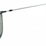 Guadino Sigma  SHAKESPEARE